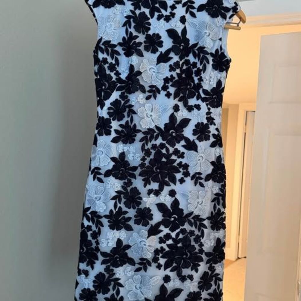 Lauren Ralph Lauren Dress Size 2